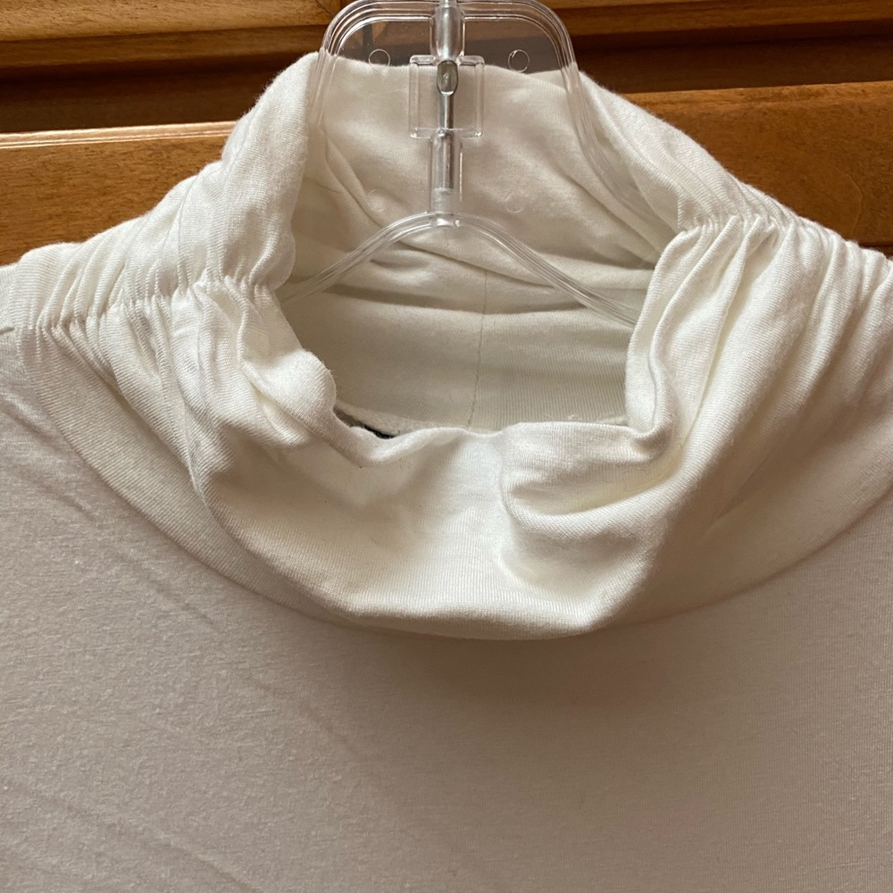 Alfani turtle neck top